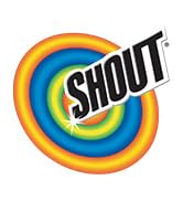 Shout Wipes